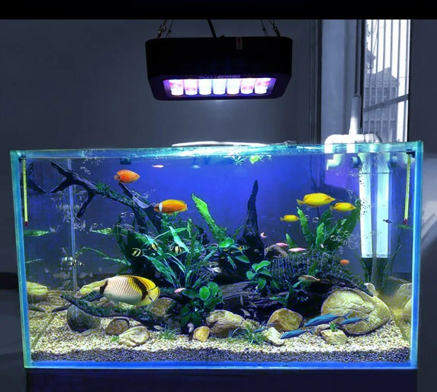 Лед светильник для аквариума 140л. Рыбы в аквариуме. Рыбки для аквариума. Аквариум п.