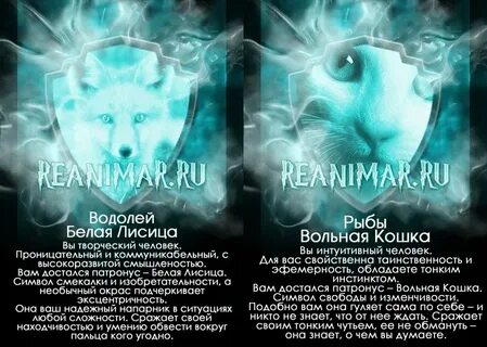 Какого мага выбрать