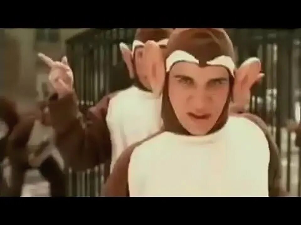 Bloodhound gang мартышки. Bloodhound gang клипы. Клип the Bad Touch. Клип Блуд хаунд ганг.