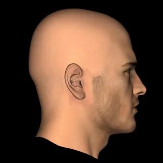 11 head