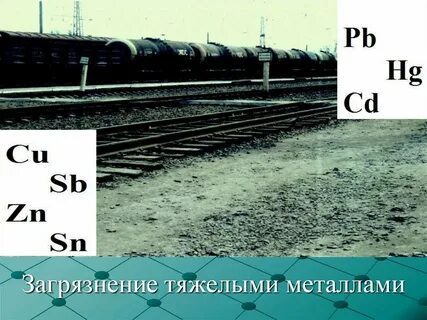 Химическое загрязнение тяжелые металлы