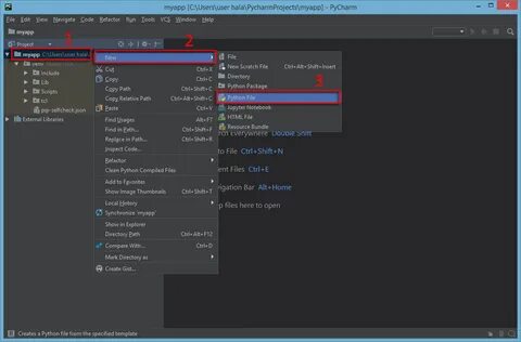 Pycharm run