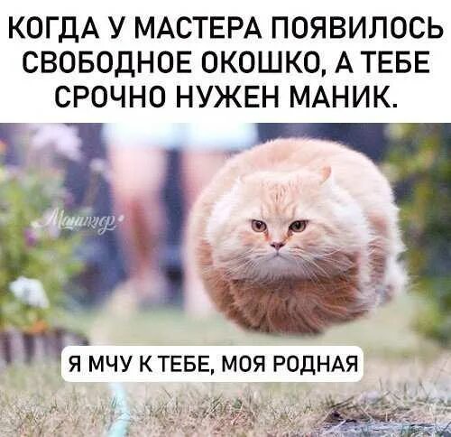 Видим цель не видим препятствий. Видим цель не видим препятствий. Вижу цель не вижу. Цель вижу. Препятствия к цели.