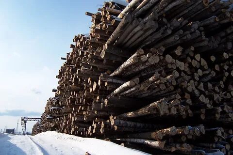Плотный штабель