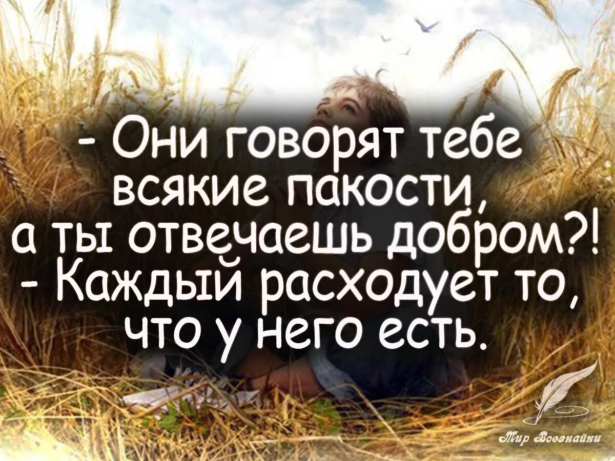 Высказывания о доброте. Фразы о доброте. Цитаты про добро. Афоризмы о доброте. Статус добрый хороший