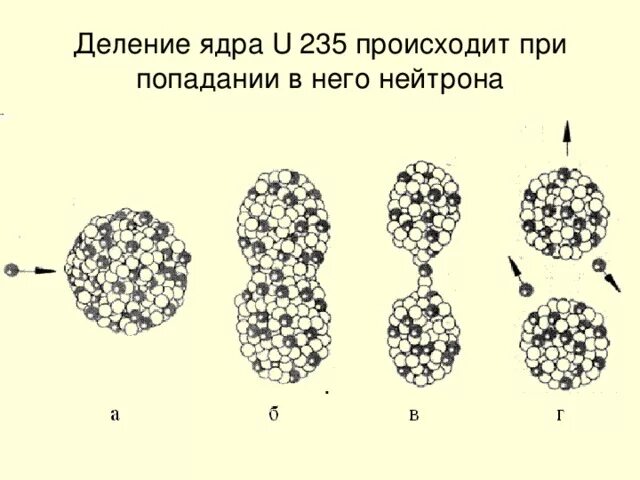 Для какой ткани характерен процесс деления. Деление ядра. Деление ядра без цитотомии. Деление ядер при попадании нейтрата. Самопроизвольное деление ядра калифорний.