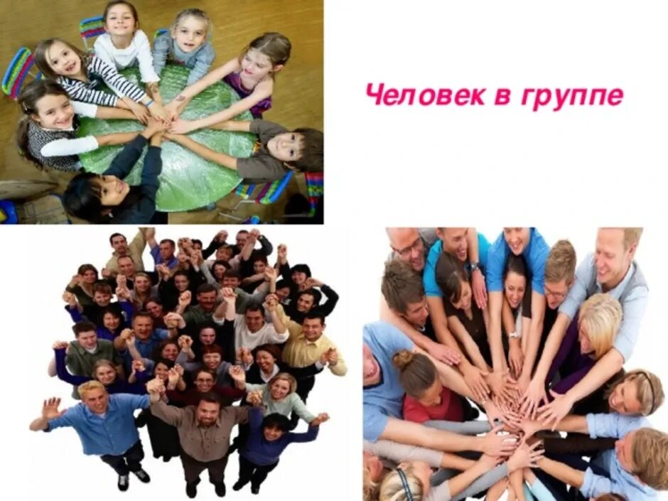 Систематика растений таксономические единицы. Виды групп в психологии. Мбанд 2021. Классификация малых социальных групп в социологии. Группа в которую входят несколько.