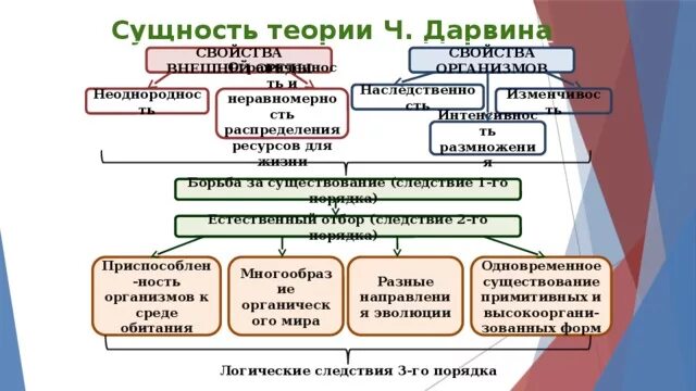 Значение теории дарвина. Сущность теории Дарвина. Теория Дарвина изменчивость. Сущность теории ч. Дарвина. Сущность гипотезы Дарвина.