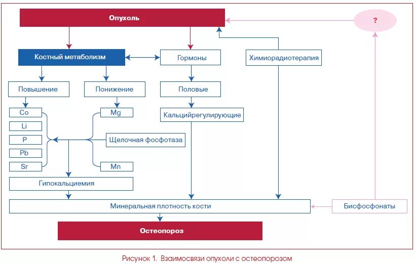 метаболизм протеогликанов соединительной ткани. лабораторные маркеры образования костной ткани. внутрикостный метаболизм. препараты улучшающие метаболизм костной ткани. нарушение обмена веществ таблетки.