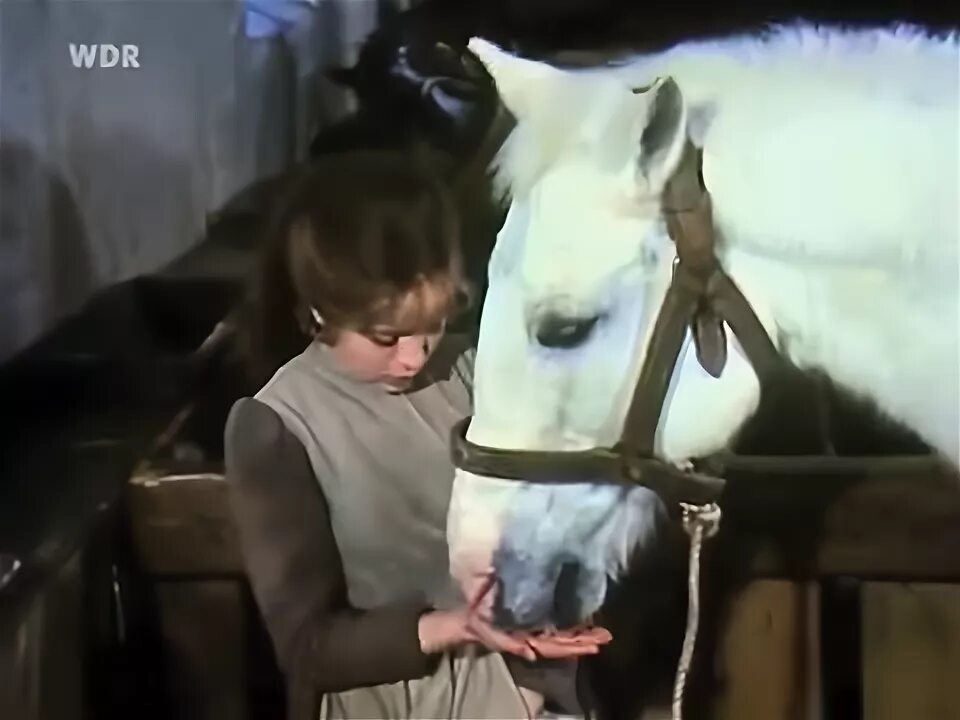 Карел готт три орешка для золушки песня. Карел готт три орешка для золушки принц. карел готт три орешка для золушки текст песни. карел готт песня из фильма три орешка для золушки транскрипция. слова песни карел готт из фильма три орешка для золушки.