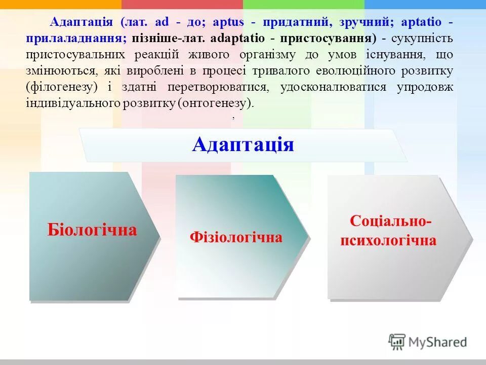 Шофер ремонтно-восстановительный автомобиля. Компания лат в спб официальный сайт. Лат работа. Лат сервис. Сто лат мельничная 21а.