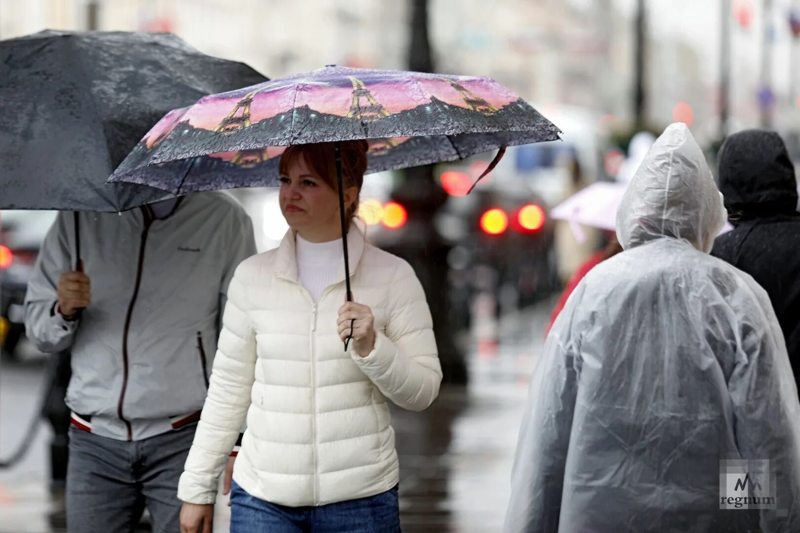 Какое лето ожидается в россии в 2024. Санкт-Петербург дождь. Похолодание. От дождя укрою. Дождь в Краснодаре.