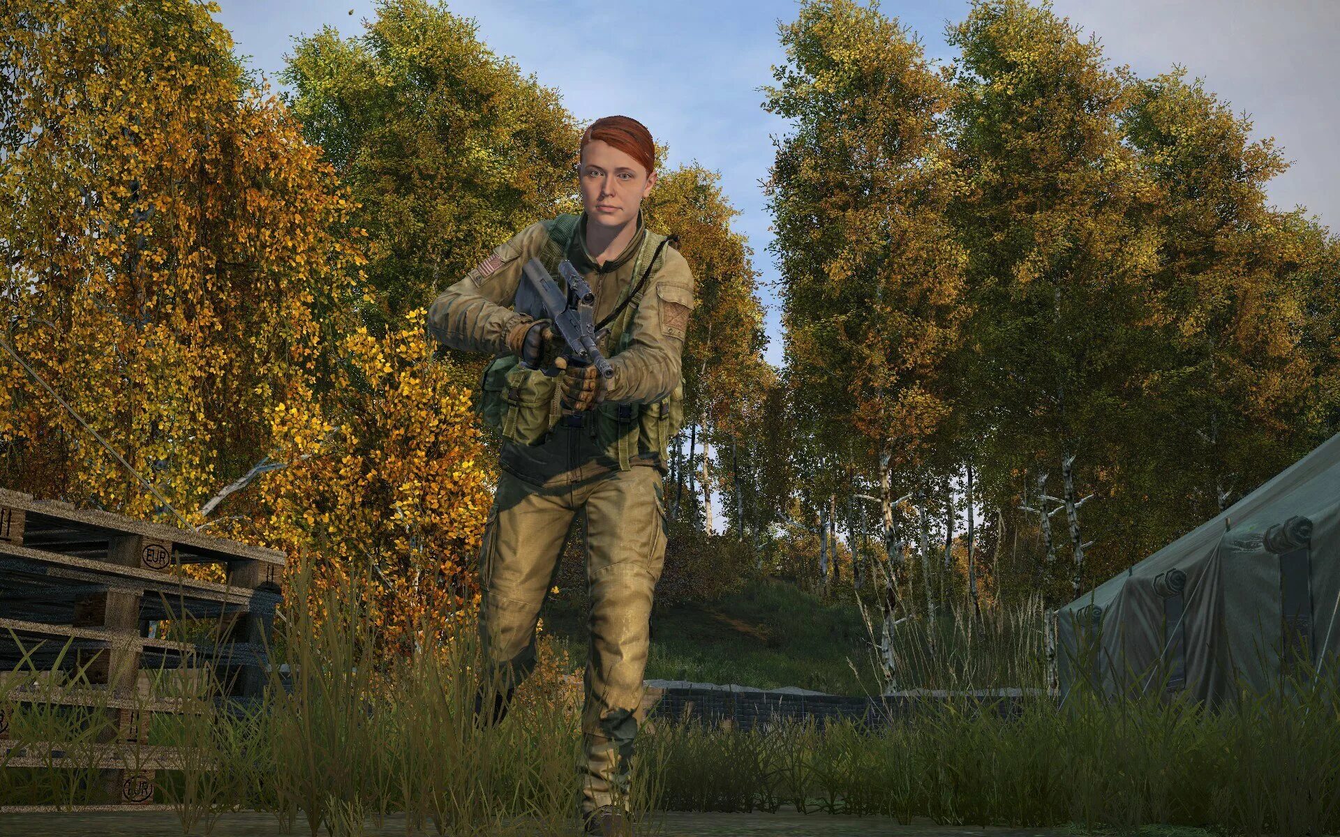 Dayz обновление. Дейз 1.19. dayz 2025. dayz update 1.18. dayz обновление 1.17.