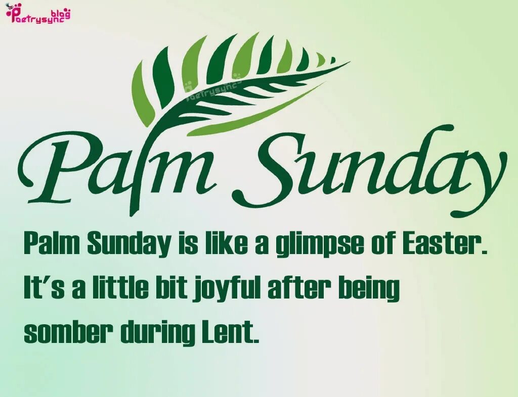 Palm Sunday. Happy Palm Sunday. Открытка Palm Sunday. Palm Sunday Wishes.