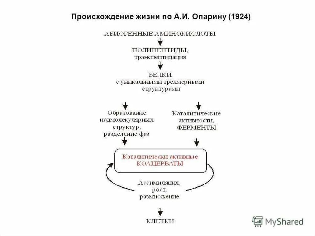 Этапы жизни по опарину. Этапы возникновения жизни по Опарину схема. Этапы биопоэза схема. Три этапа возникновения жизни по Опарину. Последовательность этапов эволюции по Опарину.