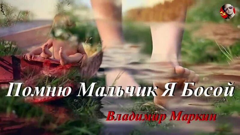Помню иволга. Помню мальчик я босой. помню мальчик я босой в лодке. есенин помню мальчик я босой. текс песни помню помню мальчик я босой.