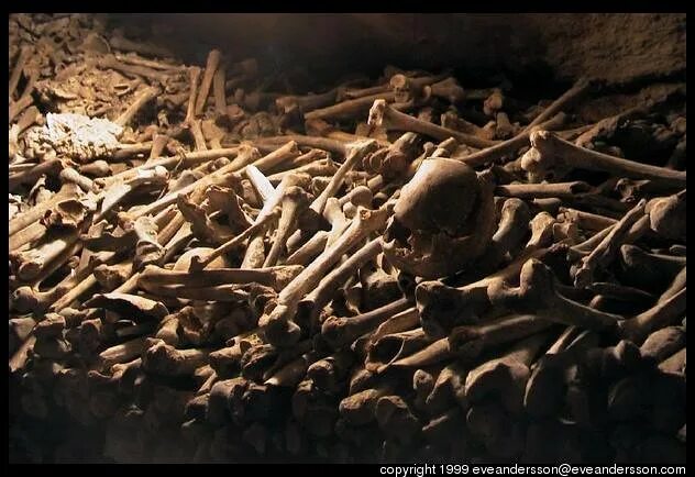 Кости сгорают. Куча человеческих костей. Груда человеческих костей.
