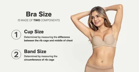 Thick Padded Lingerie for Small Breast Plus Size Lot Women Push-up Underwea...