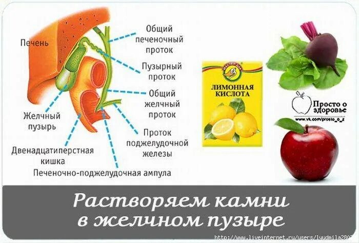 Продукты при перегибе желчного пузыря. Продукты полезные для желчного пузыря. Желчегонные продукты. Желчегонные фрукты. Желчегонные продукты при застое желчи.