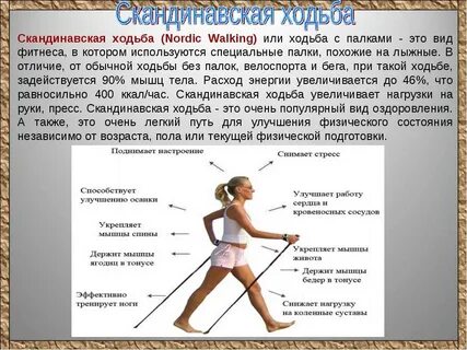 Как ходить скандинавскими палками пожилым людям