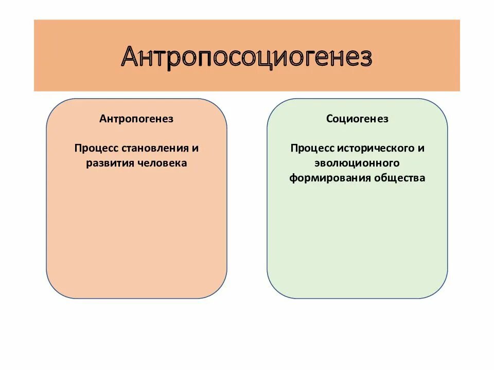 Процесс становления человека и общества называется. Антропосоциогенез. антропогенез и антропосоциогенез. антропосоциогенез объединяет два процесса. антропогенез социогенез антропосоциогенез.