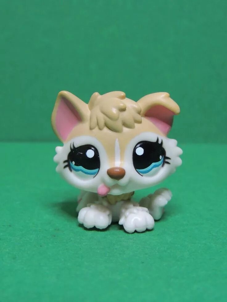 Лпс хаски. LPS #1013. Littlest Pet shop Husky. Little Pet shop игрушки хаски.