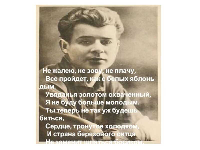 Не жалейте не зовите. Не жалейте не зовите