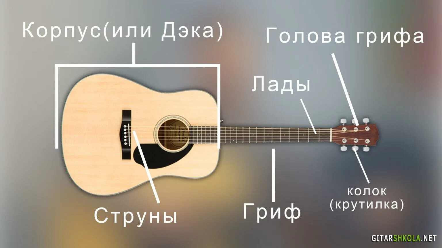 Строение гитары. Строение гитары акустической. Строение гитары классической. Строение корпуса гитары.