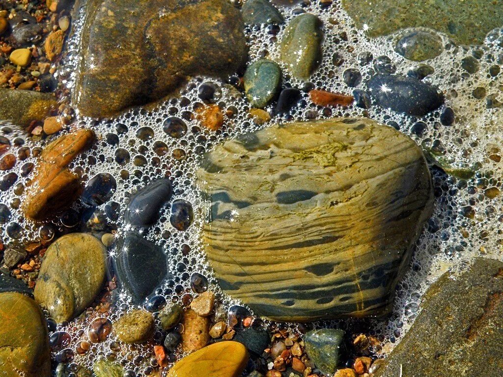 Морское дно камни. Водоросли на камнях. Камни на дне моря. Камни на морском дне. Долями подводные камни