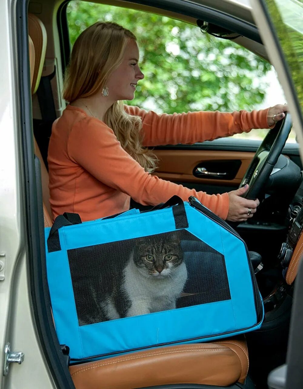 Пристегнутый кот. Испуганные коты в машине. Кошка в автомобиле. Кошки рулят. Кот за рулем.