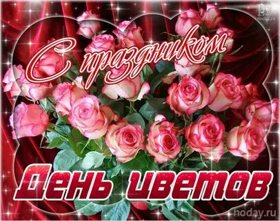 Поздравление сестре видео открытка
