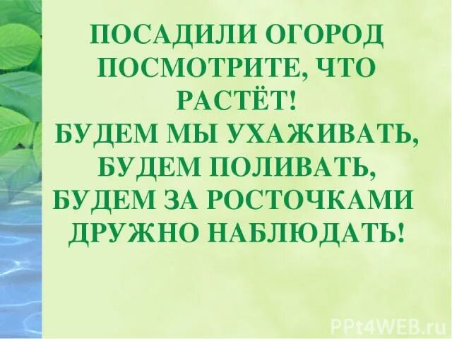 Посадили огород посмотрите что