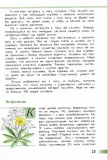Русский язык зеленые страницы