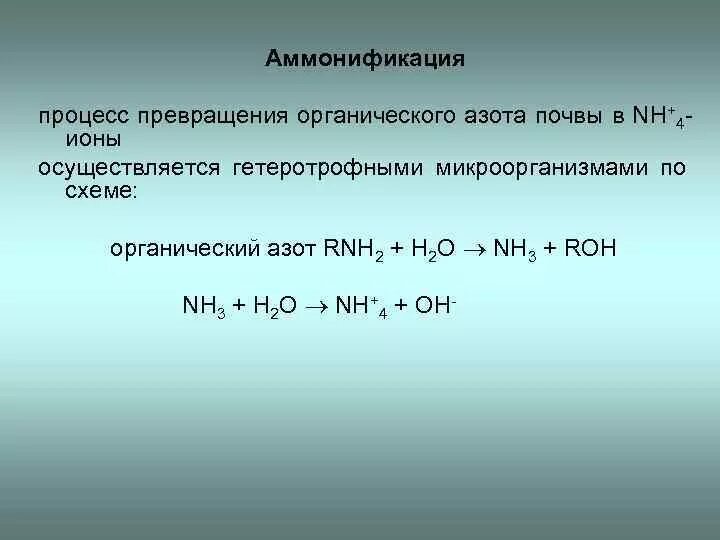 Аммонификация уравнение реакции. Процесс превращения азота микроорганизмами. Процесс аммонификации. Аммонификация азота.