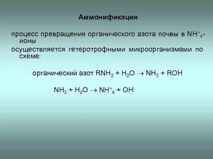 Аммонификация. Аммонификация уравнение реакции. Процесс превращения азота микроорганизмами. Процесс аммонификации. Аммонификация азота.