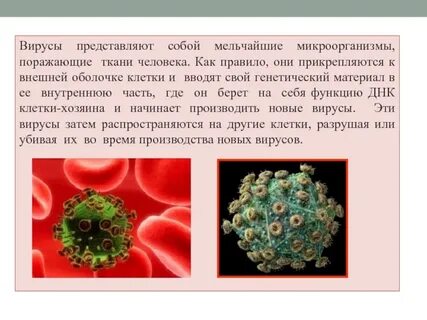 Что за вирус