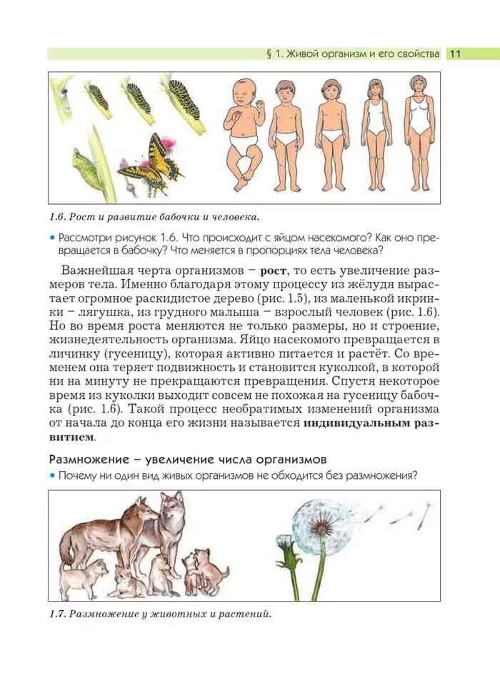 Биология для человека учебник 5 класс. Учебник по биологии 8 класс тема размножение. 7-8 Класс учебник биология размножение человека. 6 Класс учебник биология тема размножение людей.