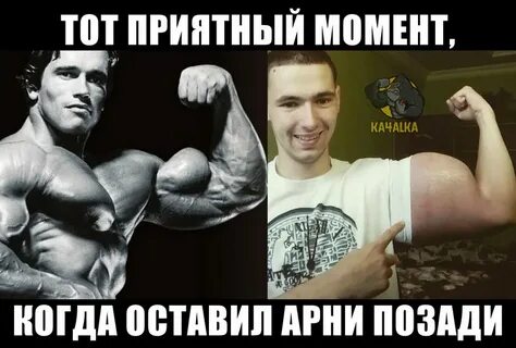 Качалка мем