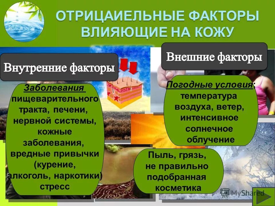 факторы состояния кожи. факторы влияющие на старение. факторы, влияющие на работоспособность лошади. факторы влияющие на чтение. факторы негативно влияющие на здоровье.