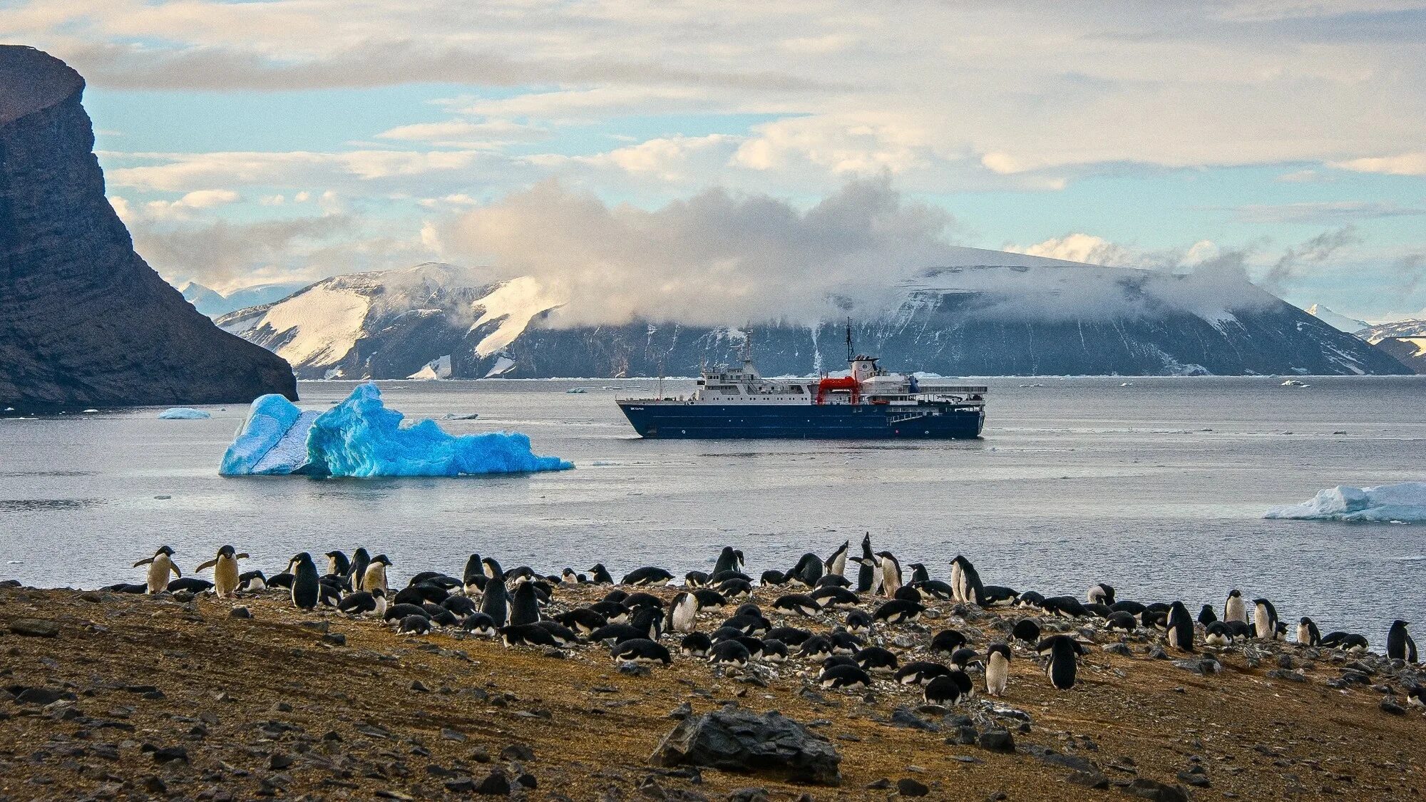 Ушуайя антарктида. Южные Оркнейские острова. Южные Оркнейские острова антарктические острова. Финвал Антарктиды. Финвал Камчатка.