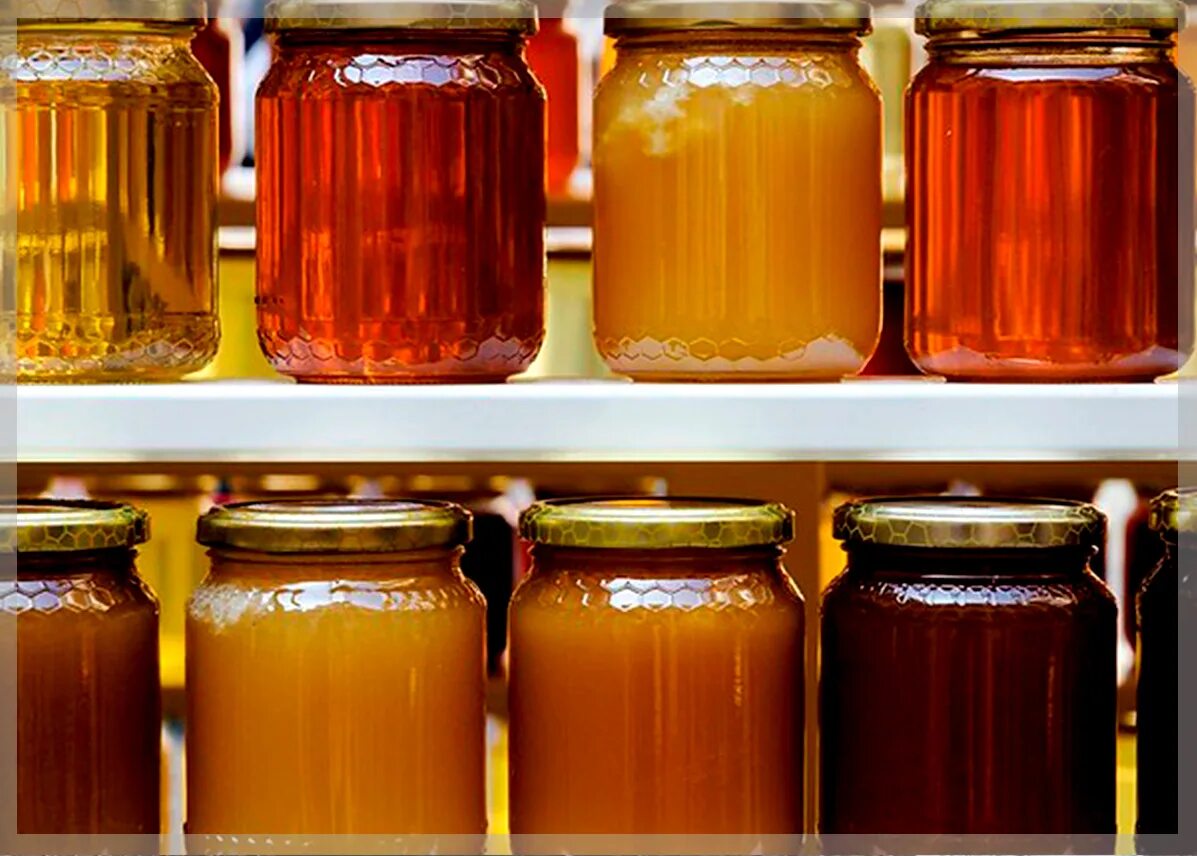 Сколько делать мед. Цвет меда. Мед разного цвета. Разные сорта меда. Баночка для меда.