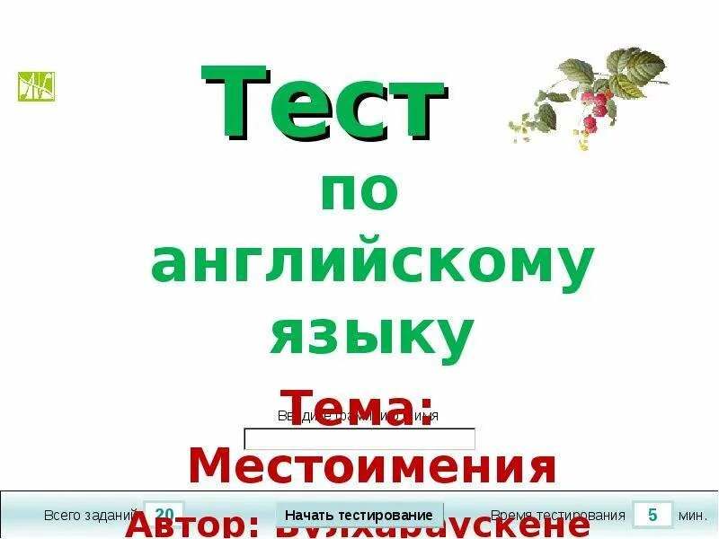 Проверочная работа местоимение 3 класс. Тест по английскому местоимения. Тесты на местоимения англ яз. Местоимения в английском тест. Местоимения по английскому языку тест с ответами.