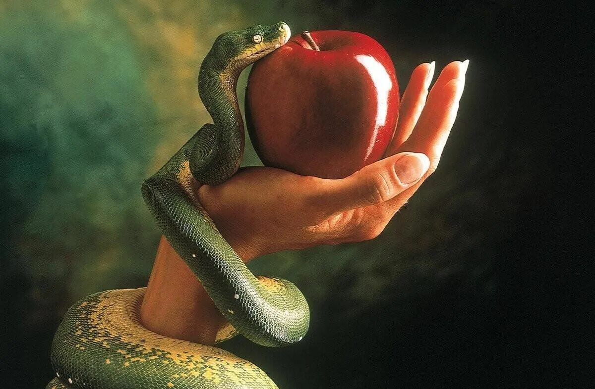 Eve Eve and Snake Eve and Apple Adam and Eve Apple Tree Etsy Adam and eve, Dark 