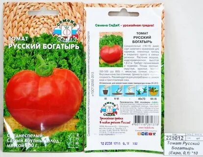 Томат богатырь характеристика