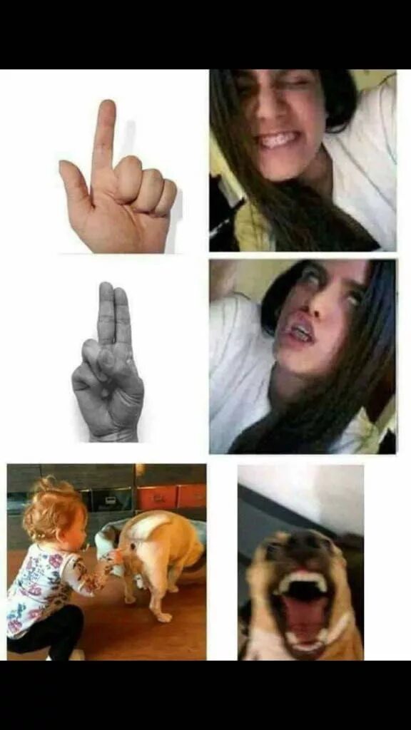 Suprise ! - 9GAG