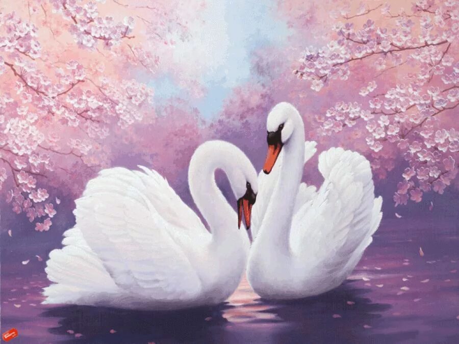 Лебеди символ верности. Лебеди живопись. Пейзаж с лебедями. Картина "лебеди".