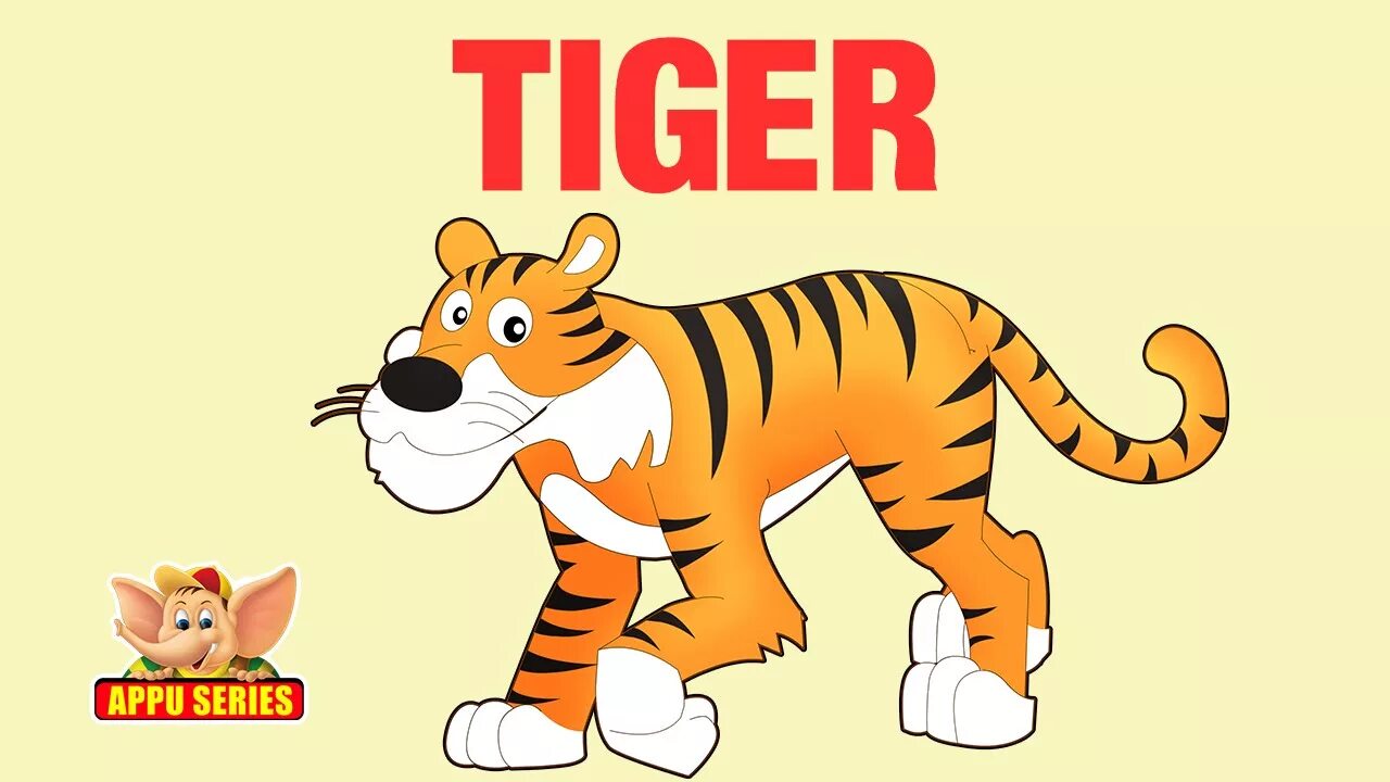 Тигр Flashcard. Карточки с английскими словами для детей тигр. Тигр рисунок на прозрачном фоне. Тигр карточка для детей.