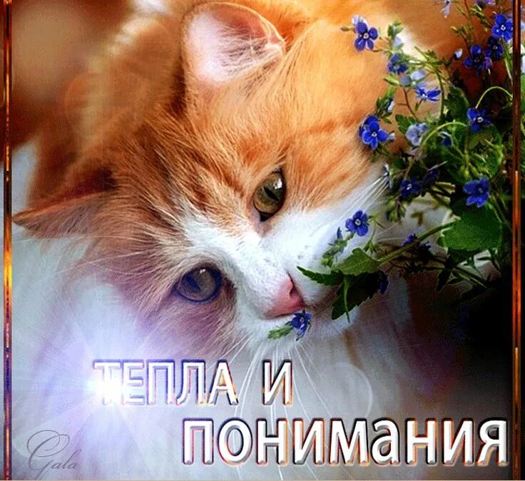 92) Одноклассники Открытки, 12 декабря, Поздравительные открытки