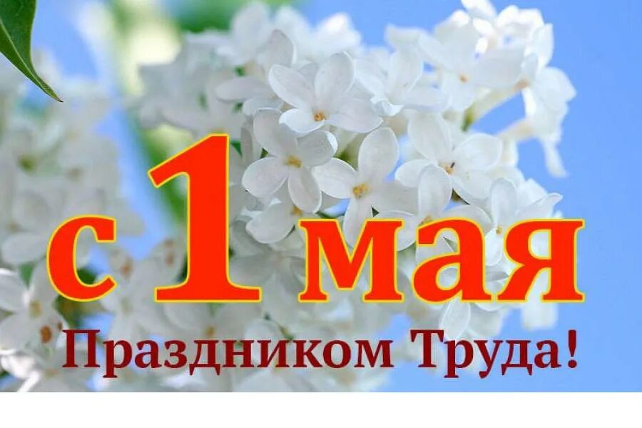 Поздравление с 1 мая. 1 Мая праздник весны и труда. 1 Мая праздник. С праздником 1 мая поздравления.