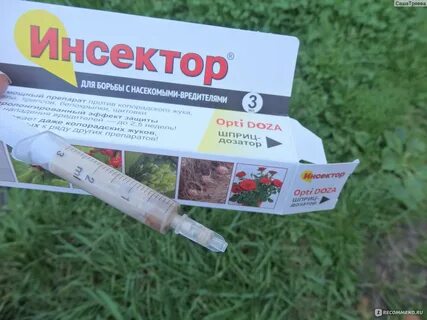 Инсектор